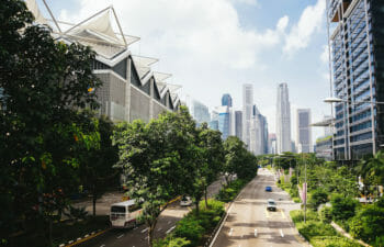 City with a lot of trees in the foreground and sky rises in the background.