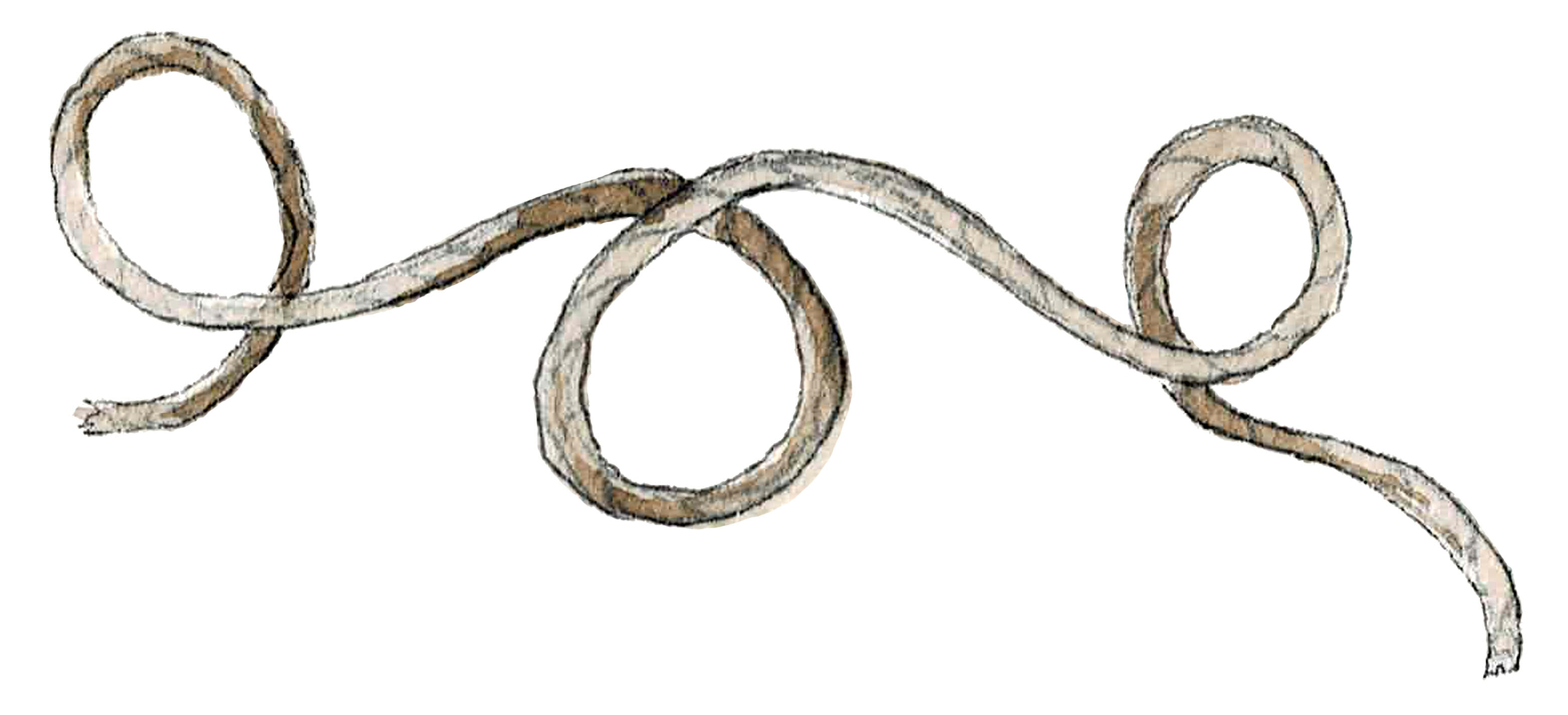 Rope Illustration