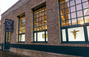 Exterior view of Blackfish Gallery with tall windows showing art on display.