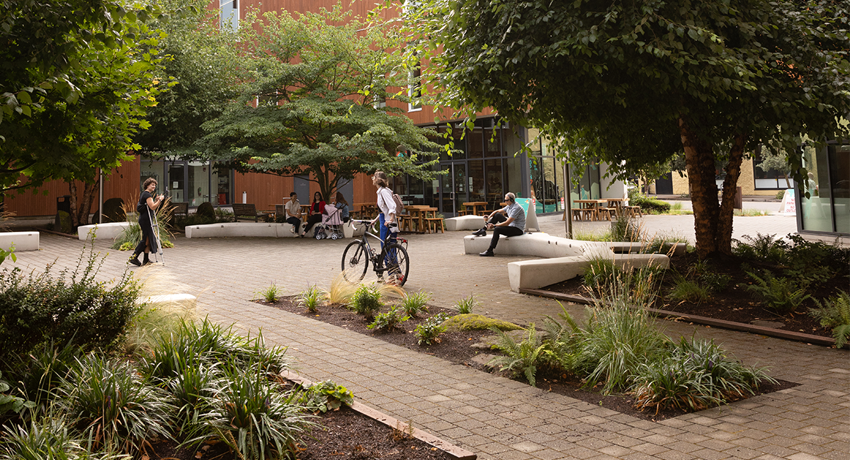 A large open courtyard at the center of a wood-clad and white curved building with lots of different kinds of seating, trees, shrubs, and people serves as an example of different types of inclusive design.