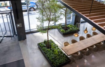 Overhead image of a lobby with natural lighting